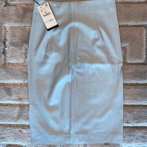 Blue Leather Pencil Skirt